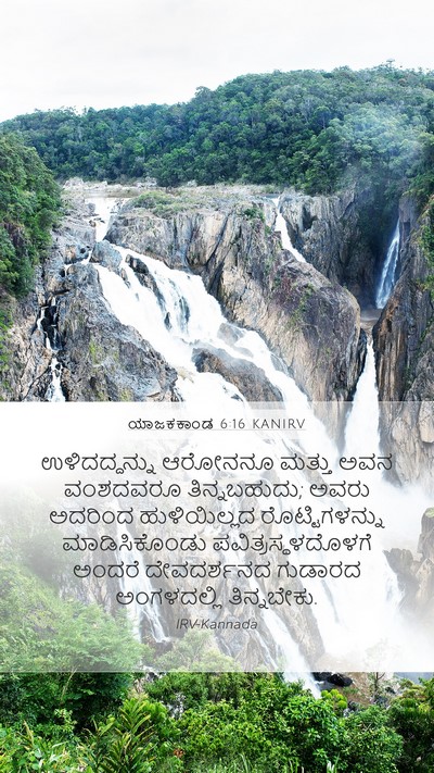 ಯಾಜಕಕಾಂಡ 6:16 KANIRV Bible Verse Image