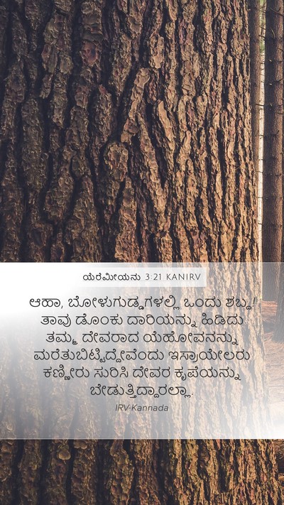 ಯೆರೆಮೀಯನು 3:21 KANIRV Bible Verse Image