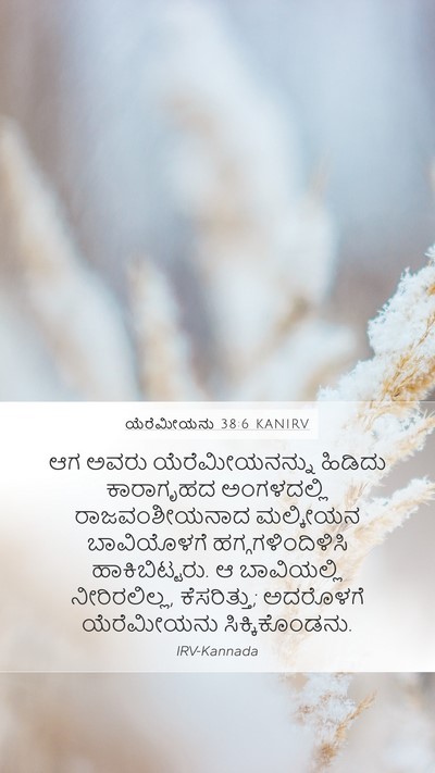 ಯೆರೆಮೀಯನು 38:6 KANIRV Bible Verse Image