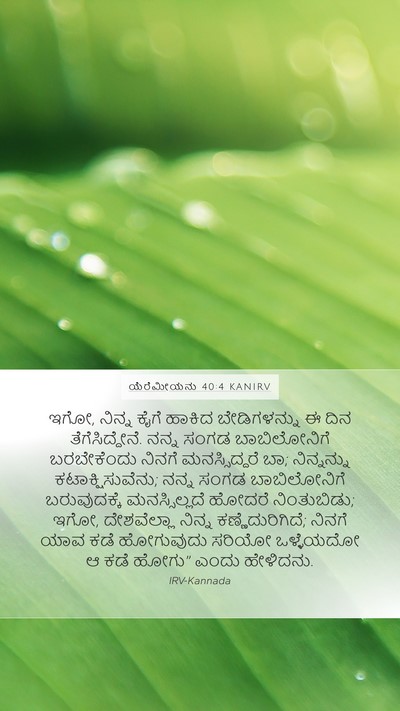 ಯೆರೆಮೀಯನು 40:4 KANIRV Bible Verse Image