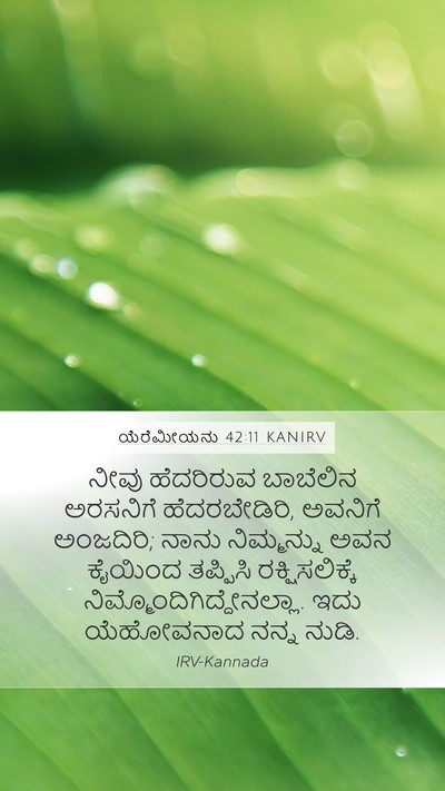 ಯೆರೆಮೀಯನು 42:11 KANIRV Bible Verse Image