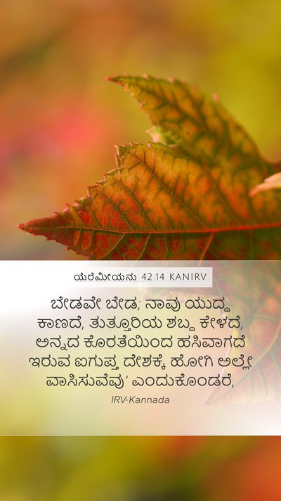 ಯೆರೆಮೀಯನು 42:14 KANIRV Bible Verse Image