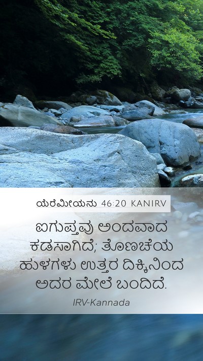 ಯೆರೆಮೀಯನು 46:20 KANIRV Bible Verse Image