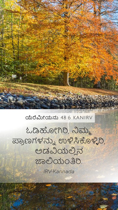 ಯೆರೆಮೀಯನು 48:6 KANIRV Bible Verse Image