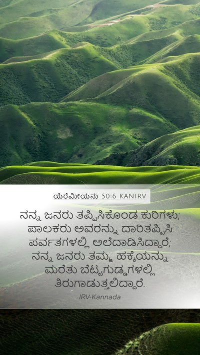ಯೆರೆಮೀಯನು 50:6 KANIRV Bible Verse Image