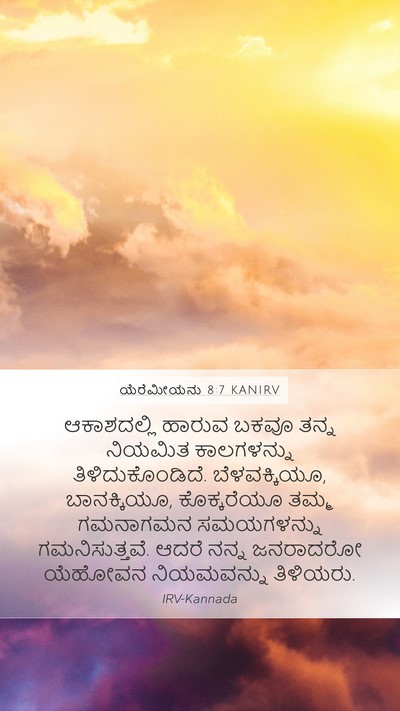 ಯೆರೆಮೀಯನು 8:7 KANIRV Bible Verse Image