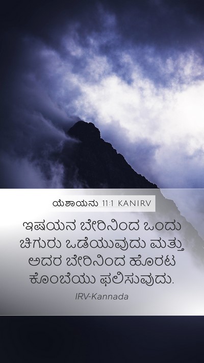 ಯೆಶಾಯನು 11:1 KANIRV Bible Verse Image