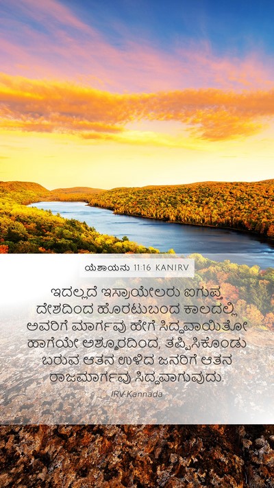 ಯೆಶಾಯನು 11:16 KANIRV Bible Verse Image
