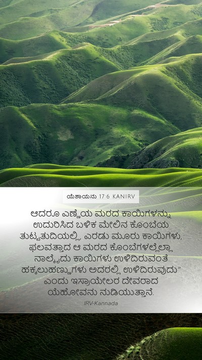 ಯೆಶಾಯನು 17:6 KANIRV Bible Verse Image