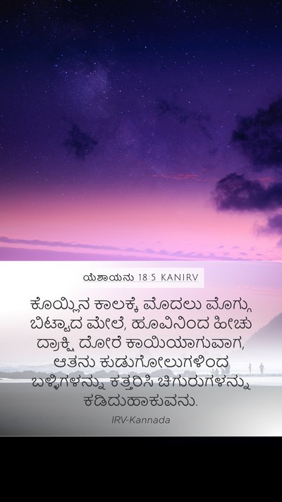 ಯೆಶಾಯನು 18:5 KANIRV Bible Verse Image