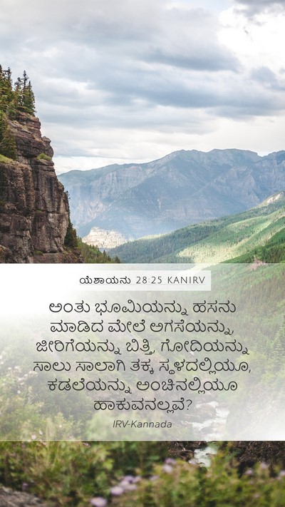 ಯೆಶಾಯನು 28:25 KANIRV Mobile Phone Wallpaper - ಅಂತು ಭೂಮಿಯನ್ನು - Mobile Bible Verse Wallpaper