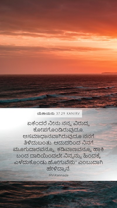 ಯೆಶಾಯನು 37:29 KANIRV Bible Verse Image