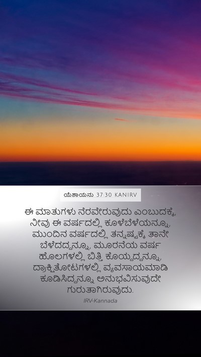 ಯೆಶಾಯನು 37:30 KANIRV Bible Verse Image