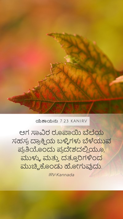 ಯೆಶಾಯನು 7:23 KANIRV Bible Verse Image