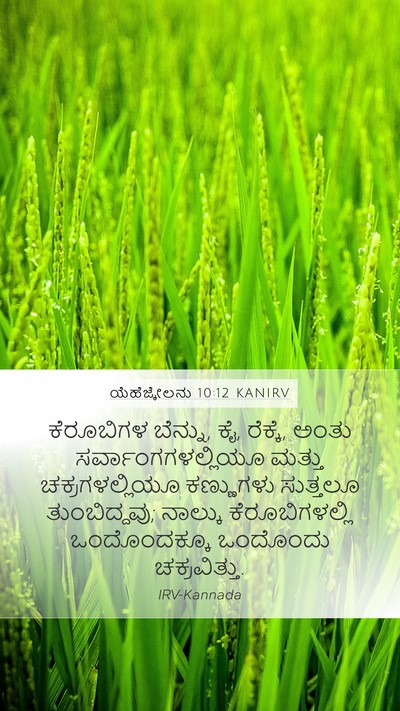 ಯೆಹೆಜ್ಕೇಲನು 10:12 KANIRV Mobile Phone Wallpaper - ಕೆರೂಬಿಗಳ ಬೆನ್ನು, - Mobile Bible Verse Wallpaper