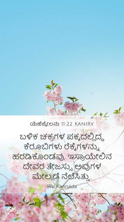 ಯೆಹೆಜ್ಕೇಲನು 11:22 KANIRV Bible Verse Image