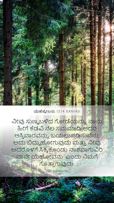 ಯೆಹೆಜ್ಕೇಲನು 13:14 KANIRV Bible Verse Image