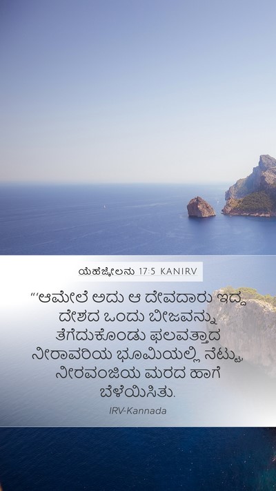 ಯೆಹೆಜ್ಕೇಲನು 17:5 KANIRV Bible Verse Image