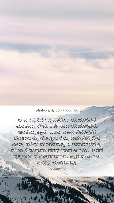 ಯೆಹೆಜ್ಕೇಲನು 20:47 KANIRV Bible Verse Image