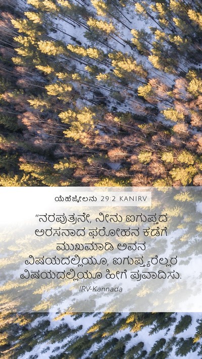 ಯೆಹೆಜ್ಕೇಲನು 29:2 KANIRV Bible Verse Image