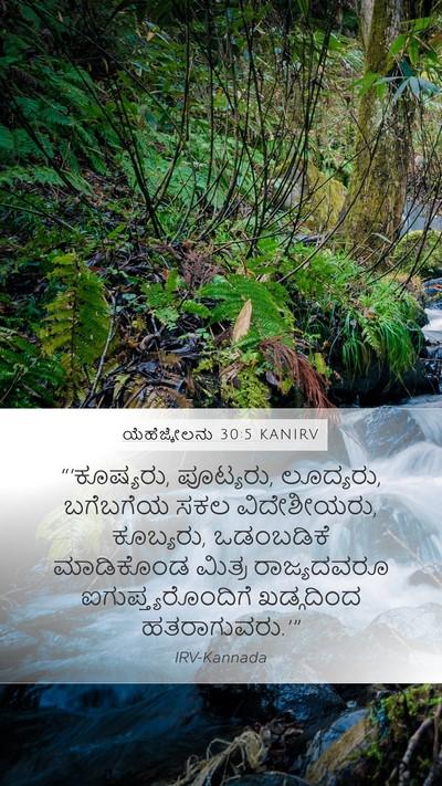 ಯೆಹೆಜ್ಕೇಲನು 30:5 KANIRV Bible Verse Image