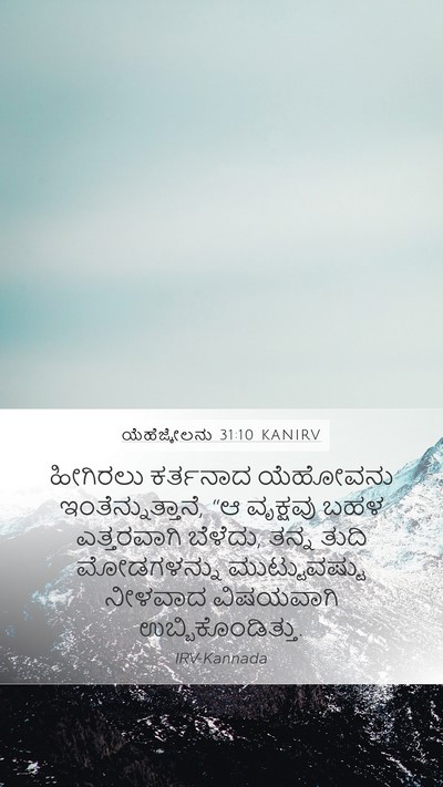 ಯೆಹೆಜ್ಕೇಲನು 31:10 KANIRV Mobile Phone Wallpaper - ಹೀಗಿರಲು ಕರ್ತನಾದ - Mobile Bible Verse Wallpaper