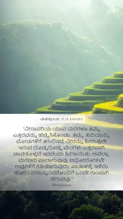 ಯೆಹೆಜ್ಕೇಲನು 31:14 KANIRV Bible Verse Image