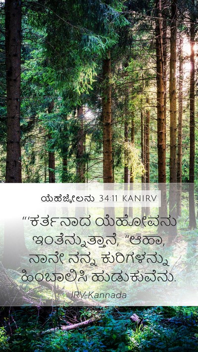 ಯೆಹೆಜ್ಕೇಲನು 34:11 KANIRV Bible Verse Image
