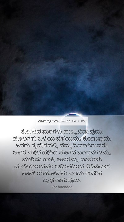 ಯೆಹೆಜ್ಕೇಲನು 34:27 KANIRV Bible Verse Image