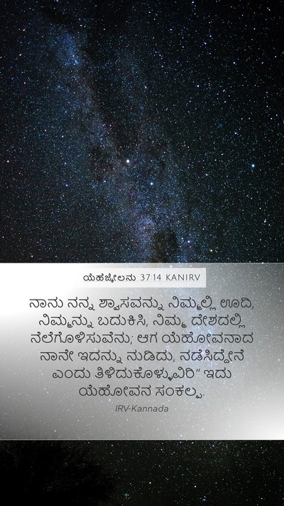 ಯೆಹೆಜ್ಕೇಲನು 37:14 KANIRV Bible Verse Image
