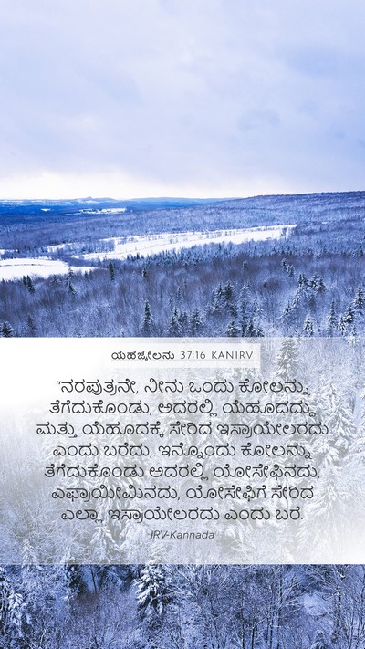 ಯೆಹೆಜ್ಕೇಲನು 37:16 KANIRV Bible Verse Image