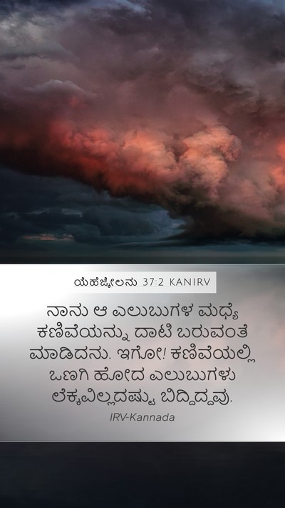 ಯೆಹೆಜ್ಕೇಲನು 37:2 KANIRV Bible Verse Image