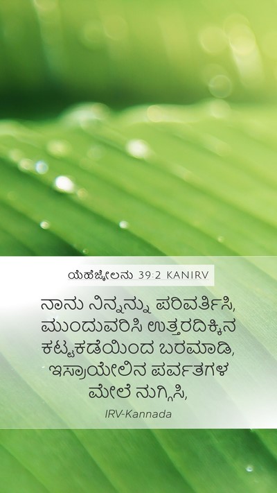 ಯೆಹೆಜ್ಕೇಲನು 39:2 KANIRV Mobile Phone Wallpaper - ನಾನು ನಿನ್ನನ್ನು - Mobile Bible Verse Wallpaper
