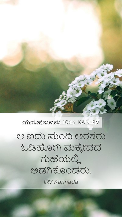 ಯೆಹೋಶುವನು 10:16 KANIRV Bible Verse Image