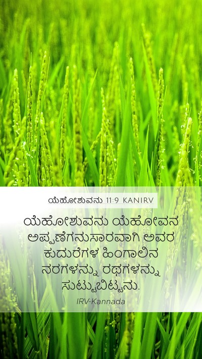 ಯೆಹೋಶುವನು 11:9 KANIRV Mobile Phone Wallpaper - ಯೆಹೋಶುವನು ಯೆಹೋವನ - Mobile Bible Verse Wallpaper