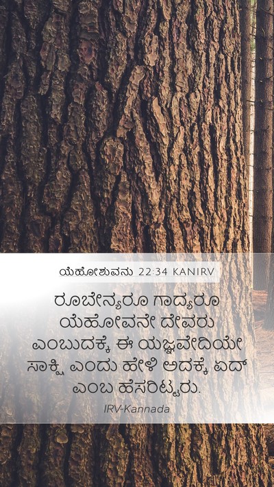 ಯೆಹೋಶುವನು 22:34 KANIRV Bible Verse Image