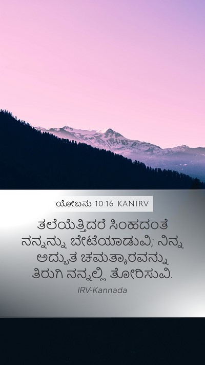 ಯೋಬನು 10:16 KANIRV Bible Verse Image