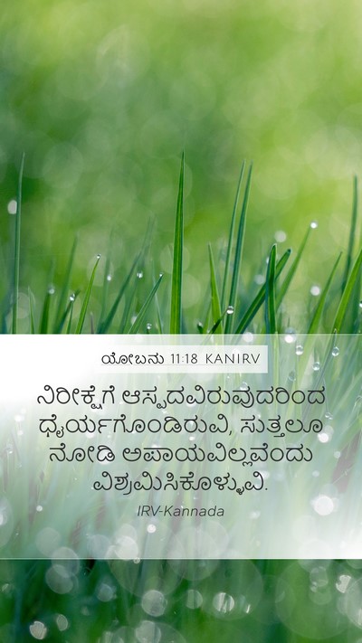 ಯೋಬನು 11:18 KANIRV Bible Verse Image