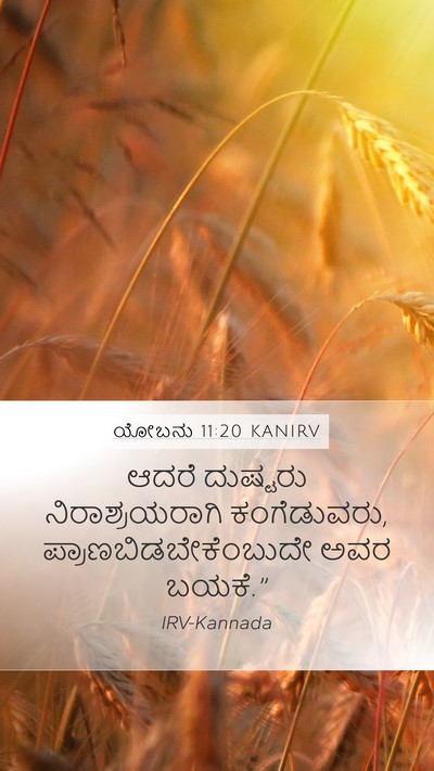 ಯೋಬನು 11:20 KANIRV Bible Verse Image