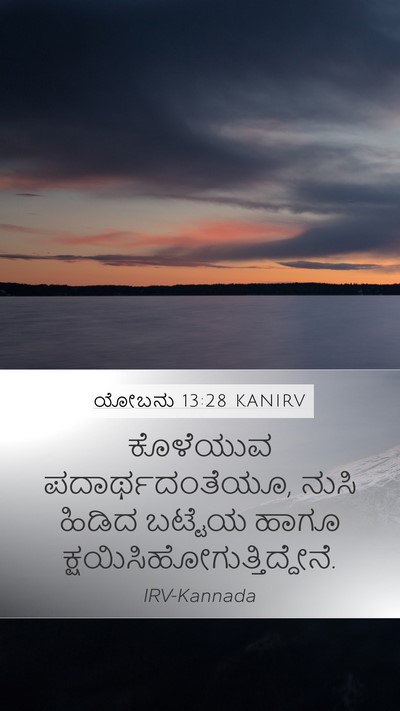 ಯೋಬನು 13:28 KANIRV Bible Verse Image