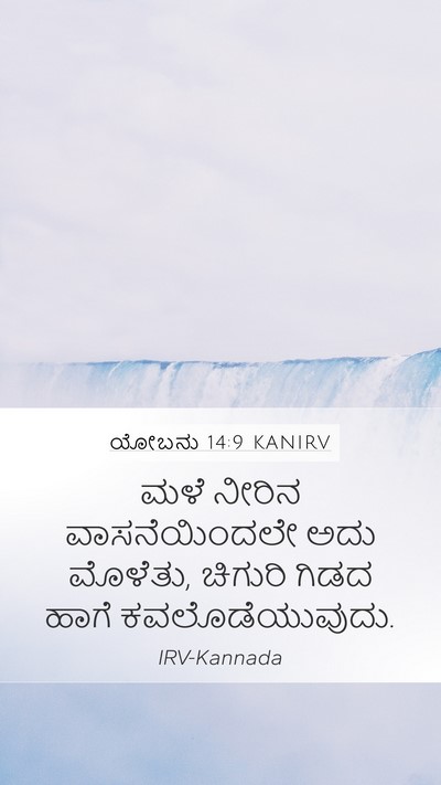ಯೋಬನು 14:9 KANIRV Mobile Phone Wallpaper - ಮಳೆ ನೀರಿನ - Mobile Bible Verse Wallpaper
