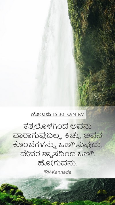 ಯೋಬನು 15:30 KANIRV Bible Verse Image
