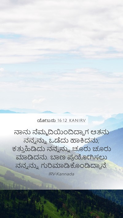ಯೋಬನು 16:12 KANIRV Bible Verse Image