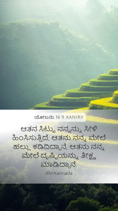 ಯೋಬನು 16:9 KANIRV Bible Verse Image