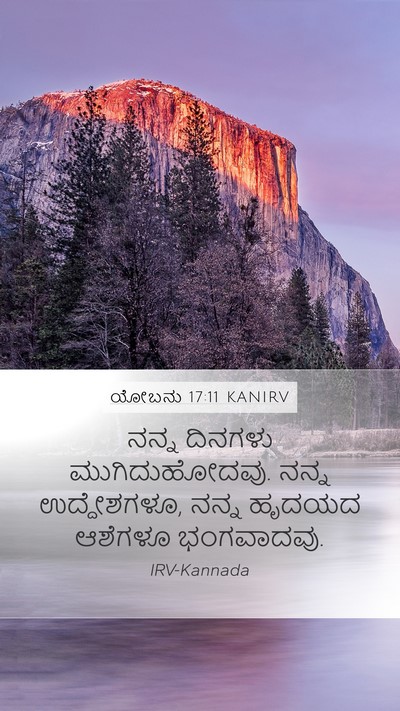 ಯೋಬನು 17:11 KANIRV Bible Verse Image