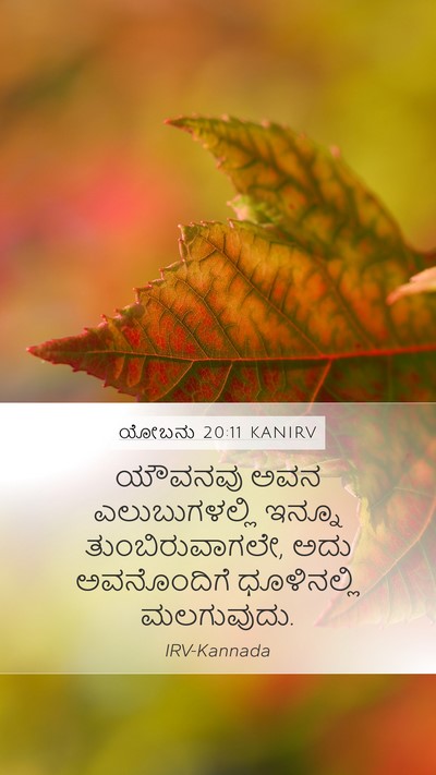 ಯೋಬನು 20:11 KANIRV Bible Verse Image