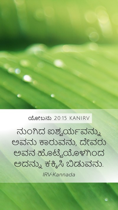 ಯೋಬನು 20:15 KANIRV Bible Verse Image