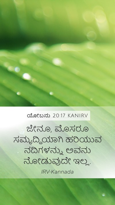 ಯೋಬನು 20:17 KANIRV Bible Verse Image