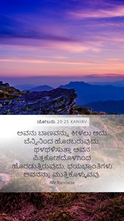 ಯೋಬನು 20:25 KANIRV Bible Verse Image