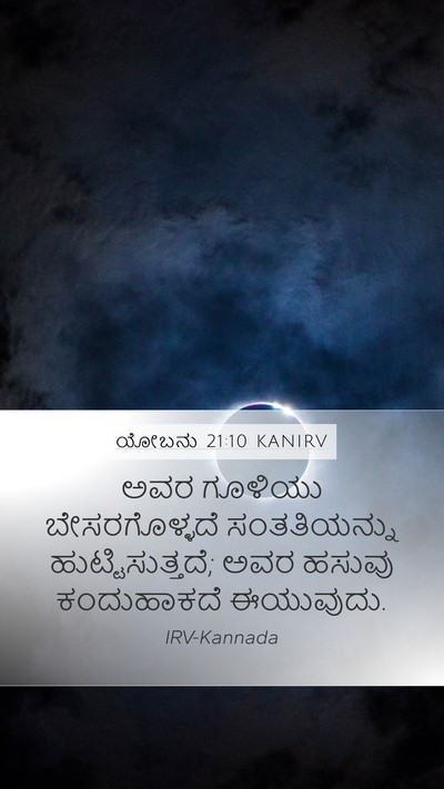 ಯೋಬನು 21:10 KANIRV Bible Verse Image